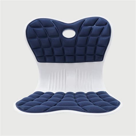 Amazon.com: NISDOKR Ergonomic Back Support Chair - Lumbar Support for ...