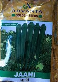 advanta upl hybrid golden seeds JANI OKRA LADYFINGER 50 pcs – resetagri