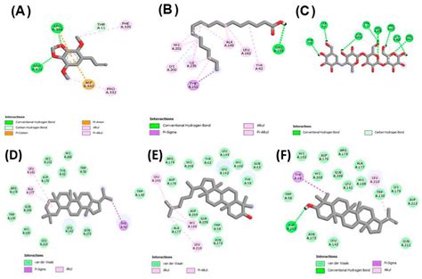 Comprehensive Phytochemical Profiling, Biological Activities, and ...