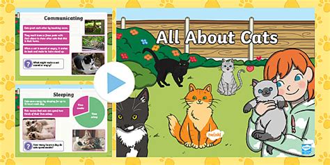 All About Cats Information PowerPoint | Parent Support