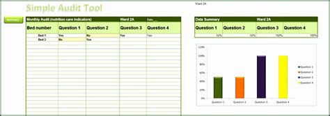 Excel Audit Tool 的图像结果