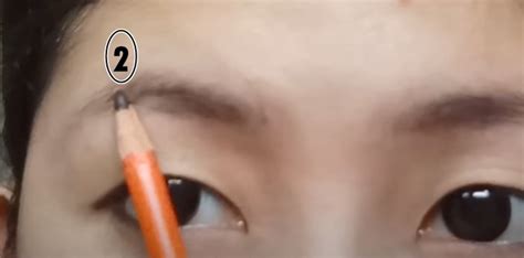 Image result for Tutorial Alis