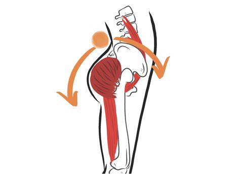 How To Use The Hip Hook at Neil Mendenhall blog