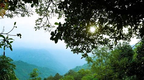 RODHI GHAR HOMESTAY (Darjeeling) - Guesthouse Reviews & Photos ...