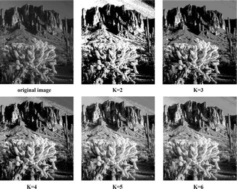Image result for Image Segmentation Algorithm