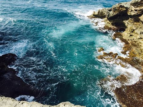 LAS OLAS BEACH HOUSE (Arecibo) - Specialty Inn Reviews, Photos, Rate ...