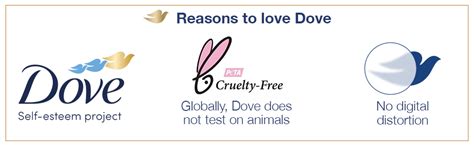 Buy Dove Dryness Care Shampoo 340 ml, With Pro-Moisture Complex for Dry ...