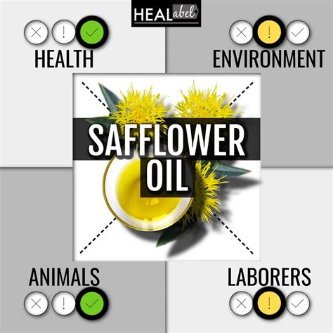 Benefits Of Safflower Oil Uk at Lori Allan blog