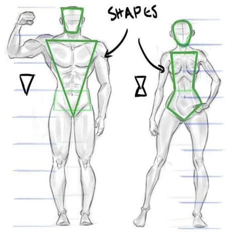 Image result for Drawing Body Parts Using Shapes