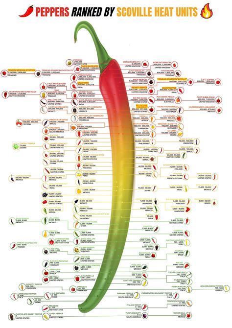 Scoville Chart Poster, Scoville Pepper Scale, Chillies Ranked by ...