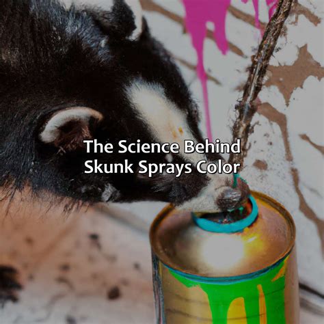 What Is Skunk Spray In Spanish at Gabriella Raiwala blog