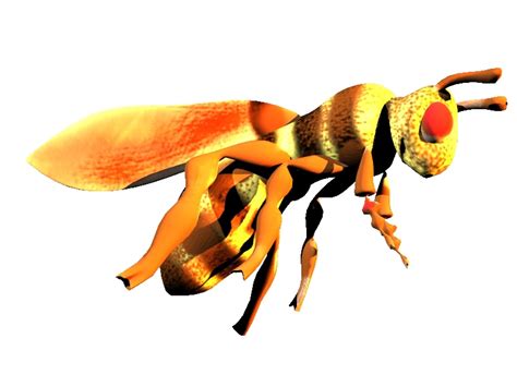 Image result for Wasp 3D Tutorial