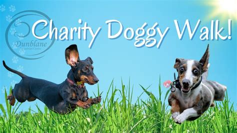 Charity Doggy Walk @ Dunblane!, Dunblane Equestrian & Equine Hydro ...