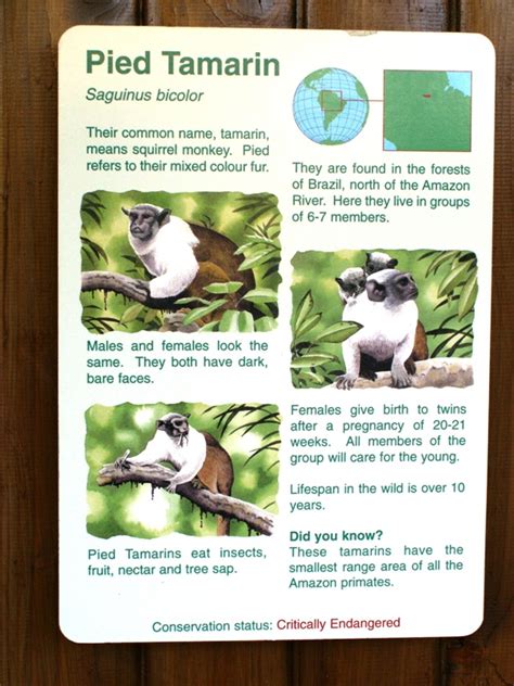 ZooLex Image - Letrero educativo