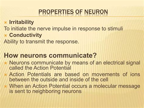Neuron & its structural & functional type by Murtaza Syed | PPTX