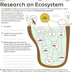 Ecosystem Worksheet 的图像结果