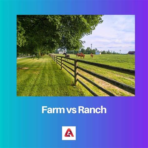 Farmer Vs Rancher