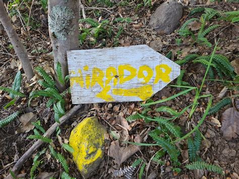 CERRO LA BANDERA (Updated 2026) All You Need to Know BEFORE You Go ...