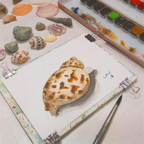 Watercolor Tutorial Seashell 的图像结果