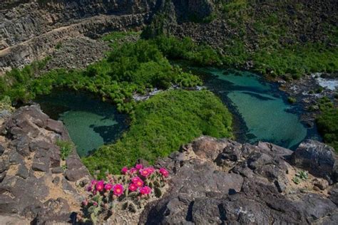 Image result for Spring-Fed Pool