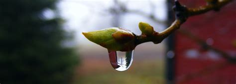 Clark-Kirkland-Barr Funeral Home, Inc.