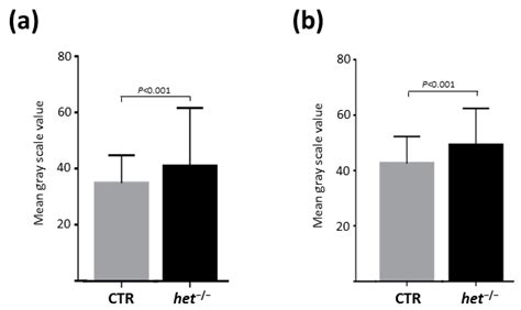 Increased Homer Activity and NMJ Localization in the Vestibular Lesion ...