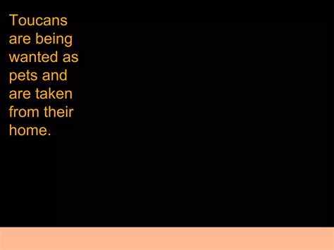 Endangered Toucans | PPT