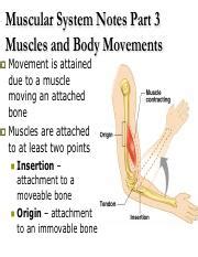 Image result for Muscle Movement Types