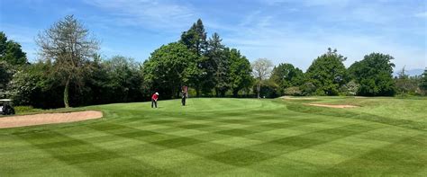 Golf Sport 的图像结果