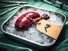 what is the price of one kidney in india: Latest News & Videos, Photos ...