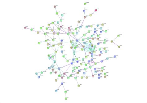 Image result for STRING Protein Interactions