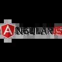 Image result for AngularJS API Icon