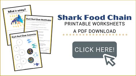 Shark Food Chain