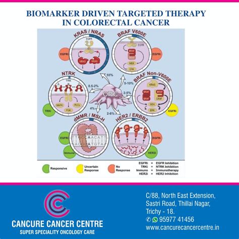 colorectal cancer precision therapy in tamilnadu | CANCURE CANCER ...
