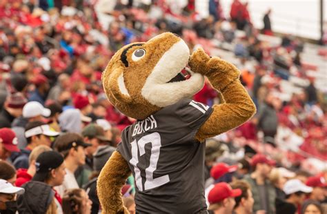 How Butch came to be: One cat’s journey into WSU fans’ hearts – Friends ...