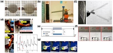 A Review of Electroactive Polymers in Sensing and Actuator Applications