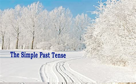 Simple Past Tense Examples 的图像结果