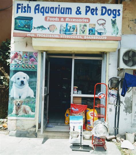 Top Pet Shops in your city | Pet Shops -Petofy