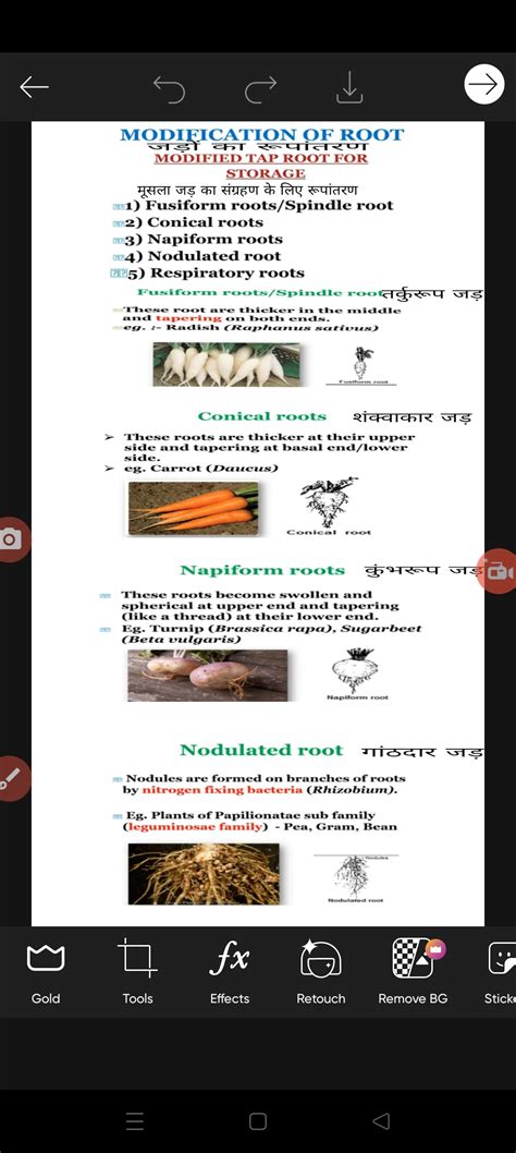Image result for Root Modification Class 5