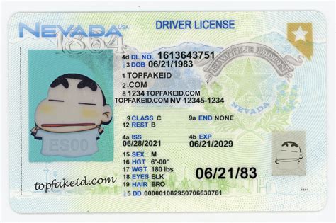 Buy Nevada Scannable Fake Id - Buy Scannable Fake ID Online - Fake ...