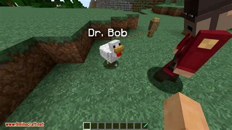 Image result for Morf Mod Minecraft