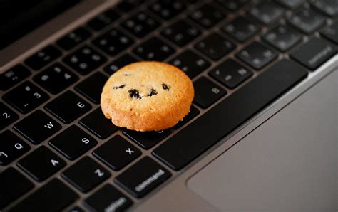 Image result for Computer Cookies 101