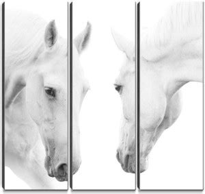 Hashtagdecor White Horses Ink 21.8 inch x 21.8 inch Painting Price in ...