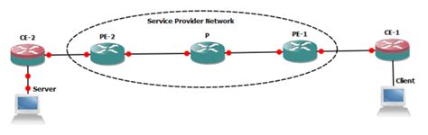 Packet Client How to Install 的图像结果