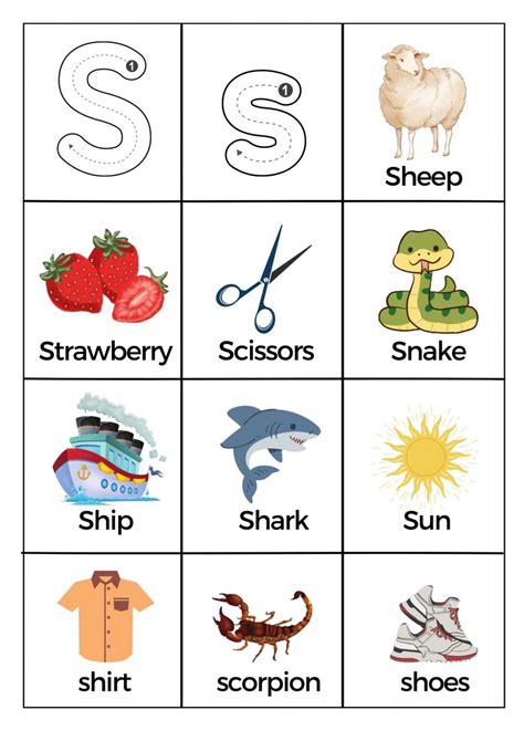 What Starts with Letter S Words Worksheets Printable PDF