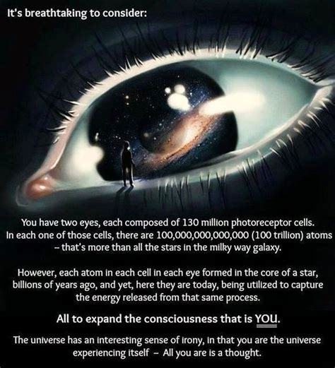 Image result for Random Fun Facts