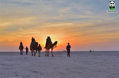 TrekPanda :Best Trekking and Backpacking company in India