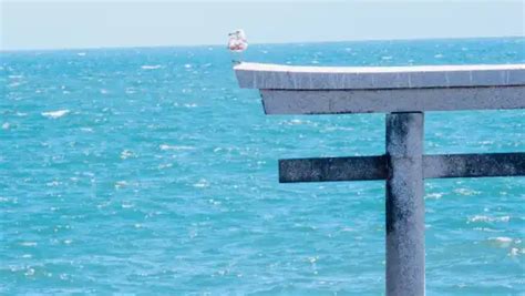 Ibaraki Hitachi Seaside Park + Kamiiso no Torii + Nakaminato Fish ...