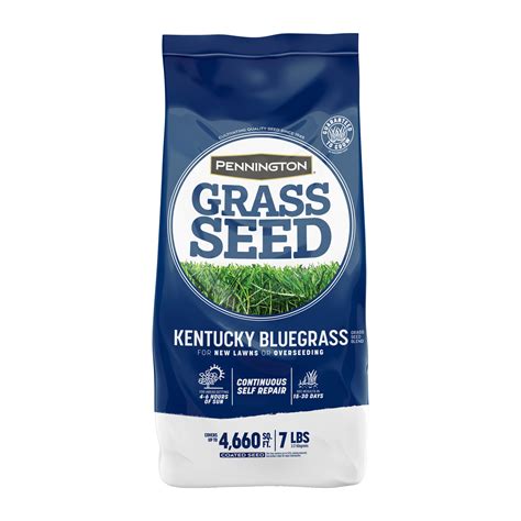 Pennington Kentucky Bluegrass Northern Grass Seed Mix, for Sun to ...
