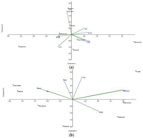 What Happens in the City When Long-Term Urban Expansion and (Un ...